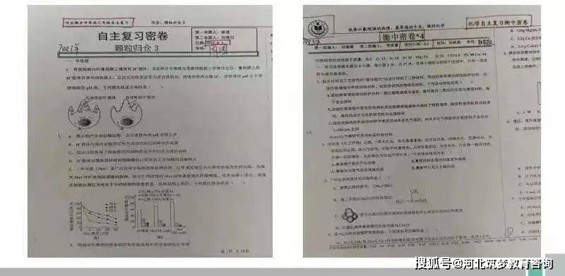 2024年11月9日 第28页