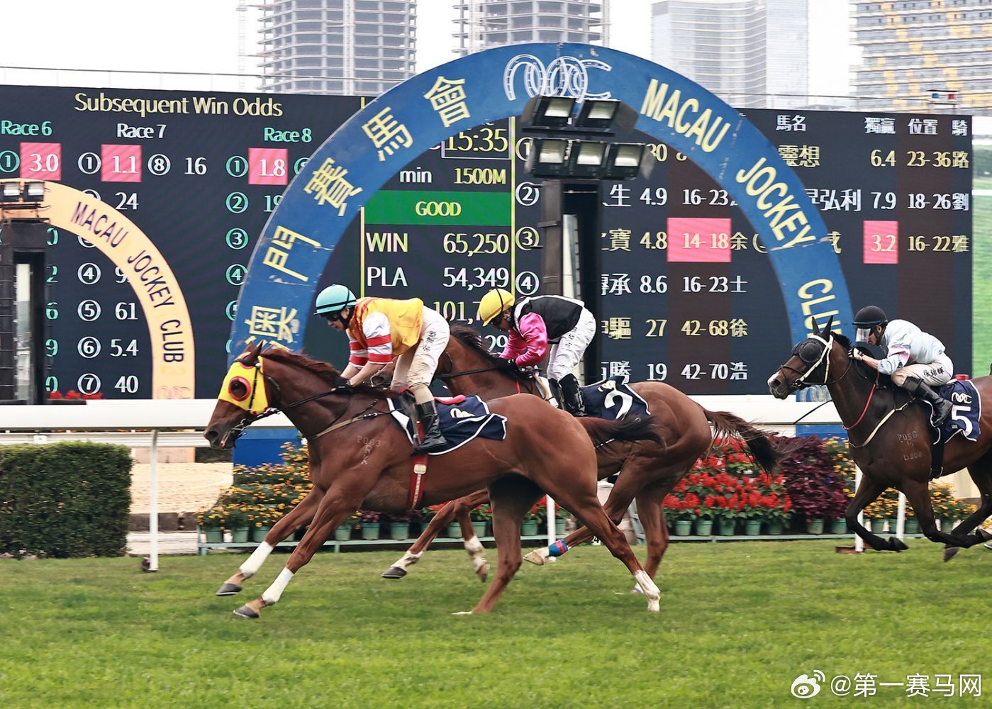 香港内部马料免费资料亮点,规范解答解释落实_适应版9.42.24